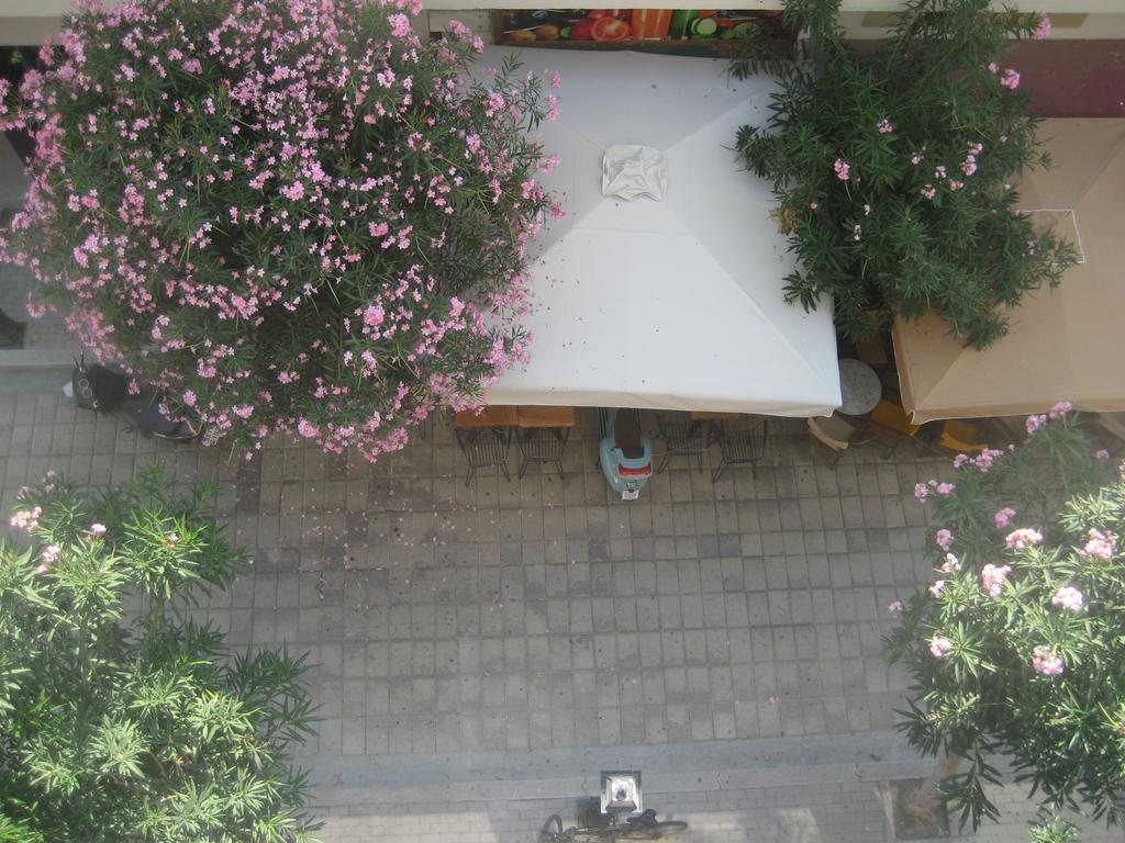 Milva Apartments بلدة كوس المظهر الخارجي الصورة